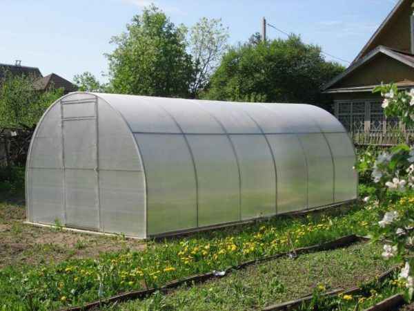 Жылыжайлар — фото 2